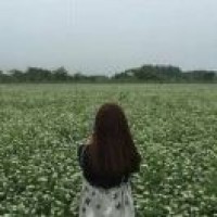 工藝美術品及收藏品零售的會計實務解析